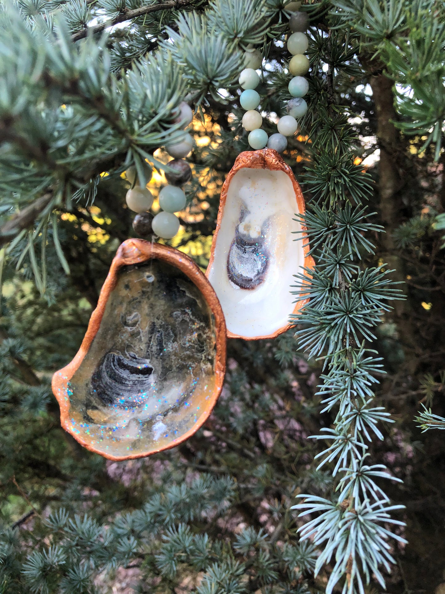 Little Bitties of the Sea - Set of 2 Oyster Shells