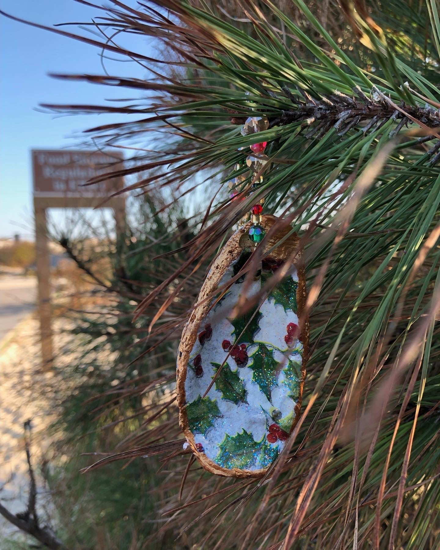 Holly Berry Bay Oyster Shell