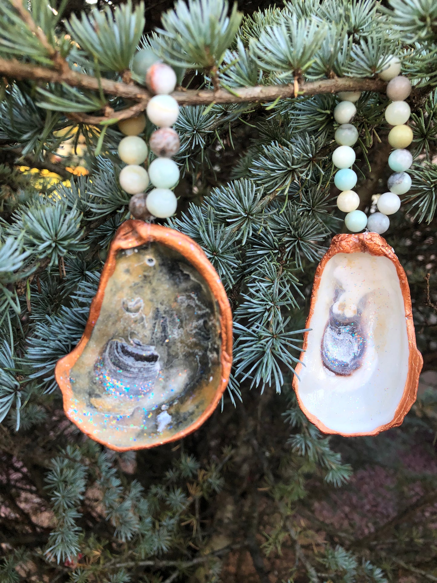 Little Bitties of the Sea - Set of 2 Oyster Shells