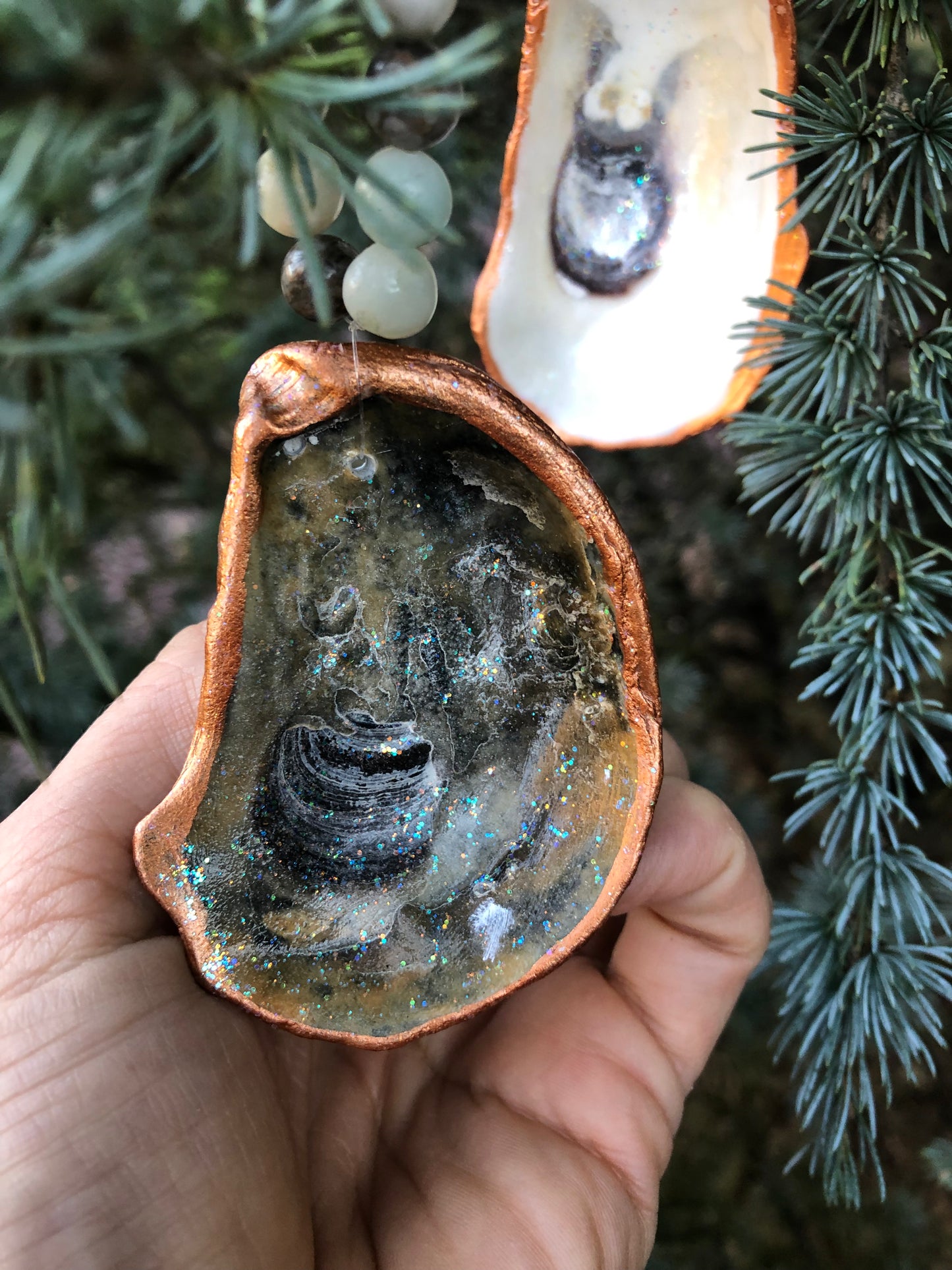 Little Bitties of the Sea - Set of 2 Oyster Shells