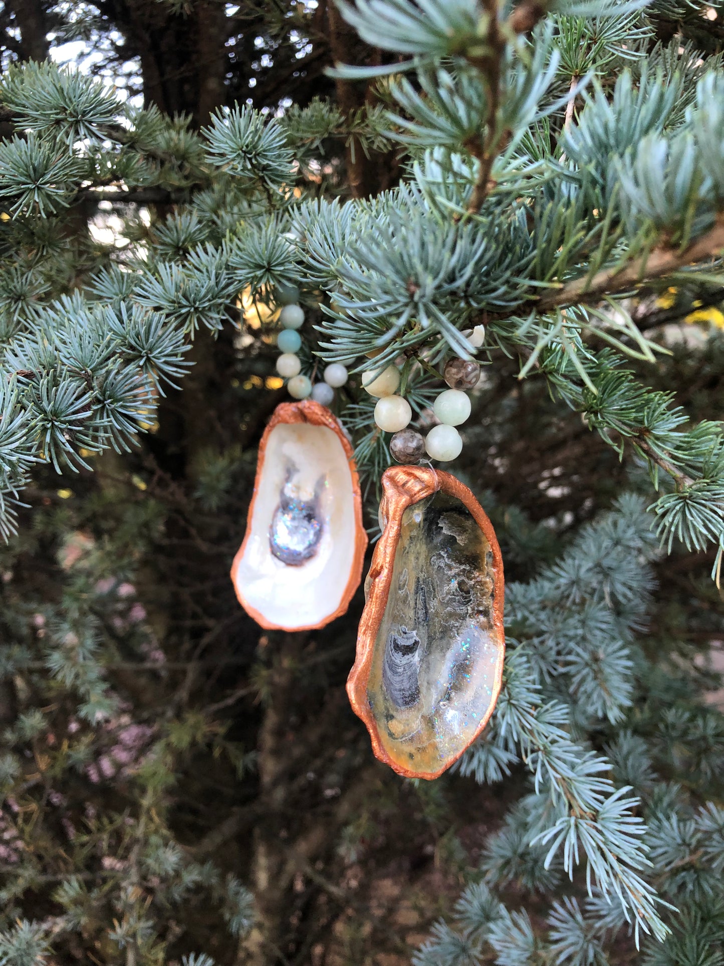 Little Bitties of the Sea - Set of 2 Oyster Shells