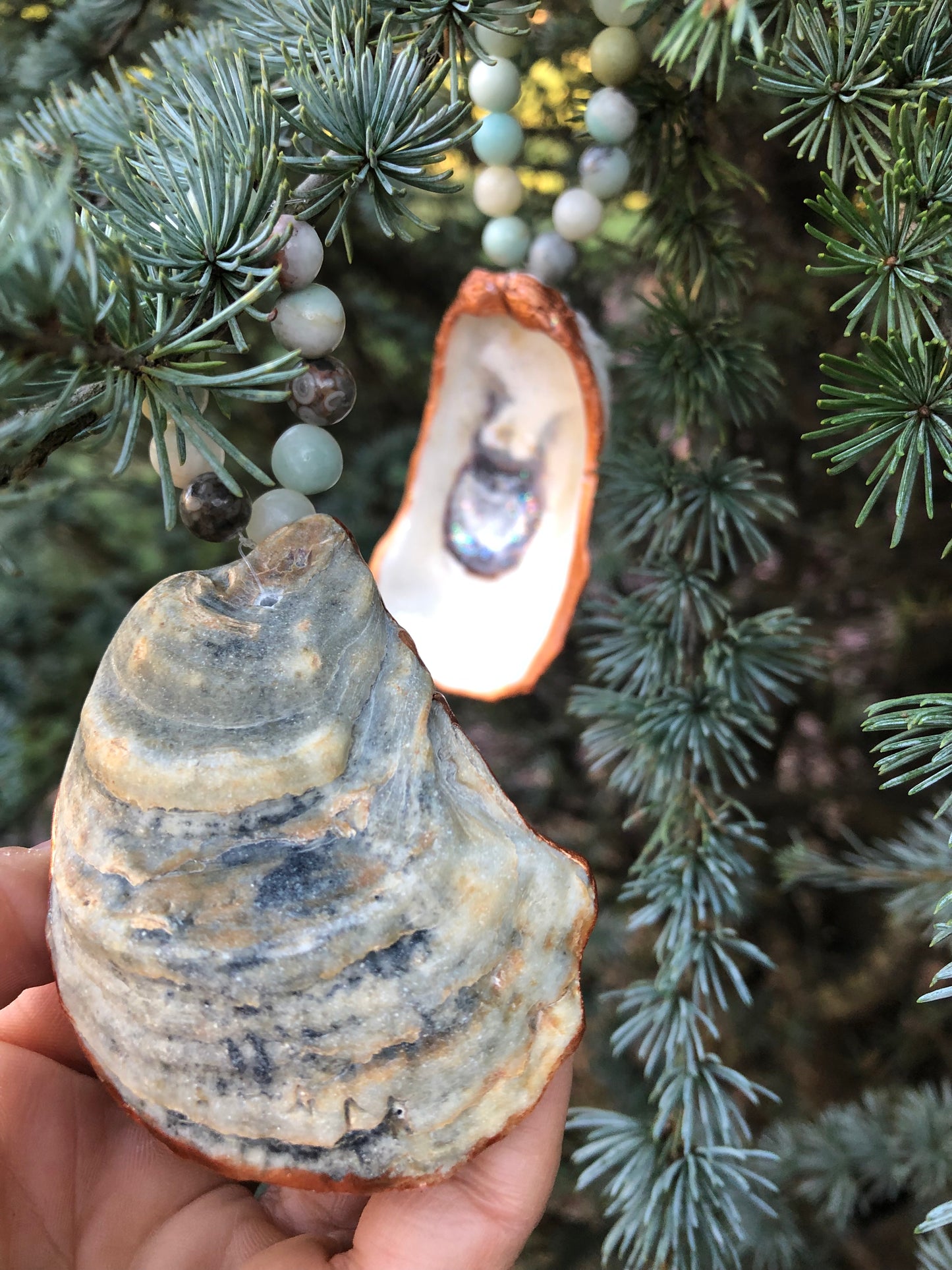 Little Bitties of the Sea - Set of 2 Oyster Shells