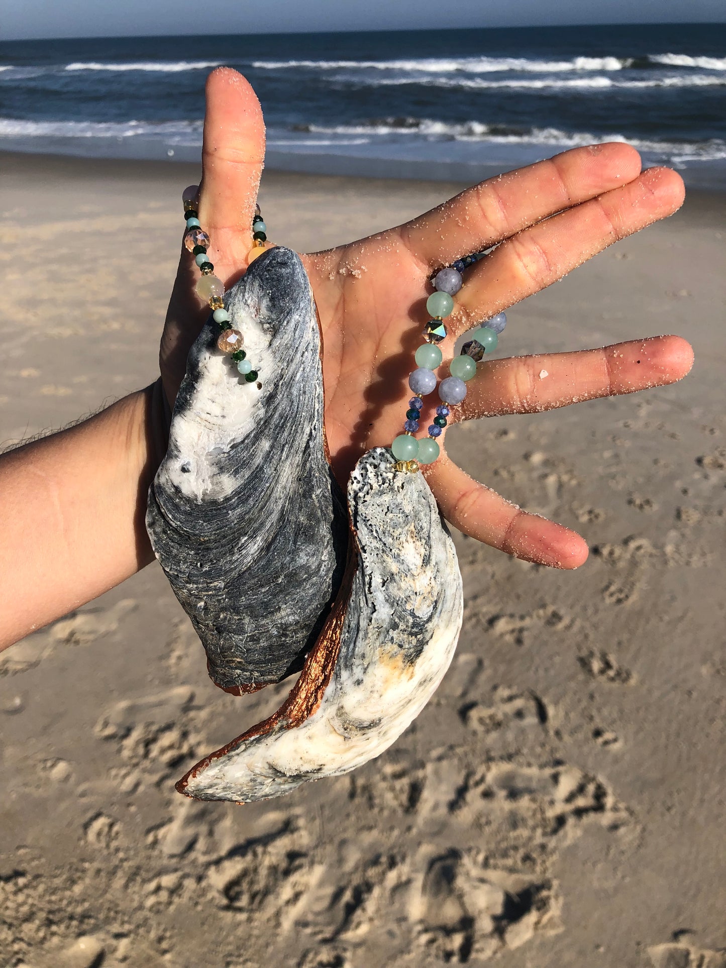 Gems in the Sand Oyster Shell