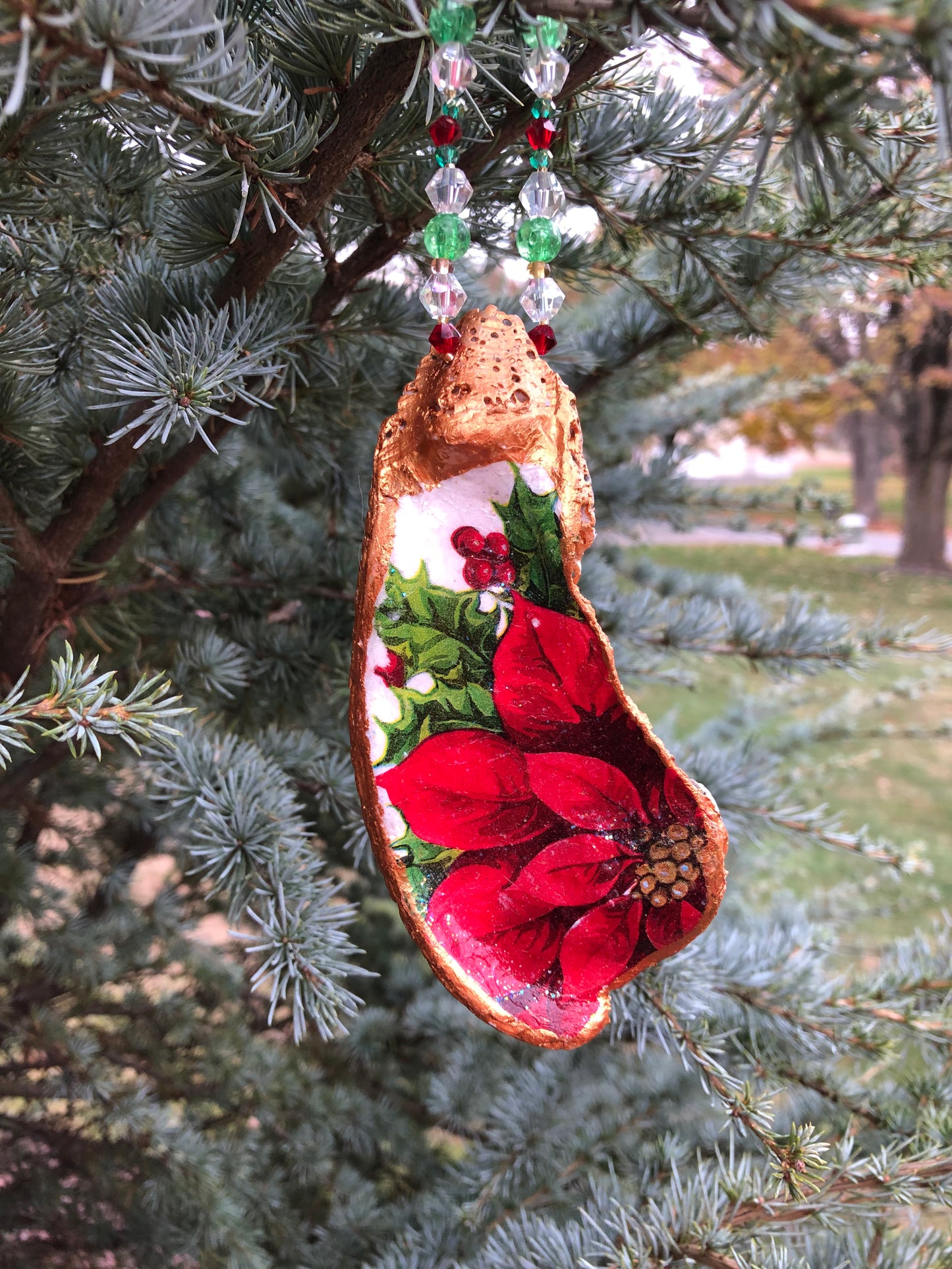 Winter of Poinsettias Oyster Shell