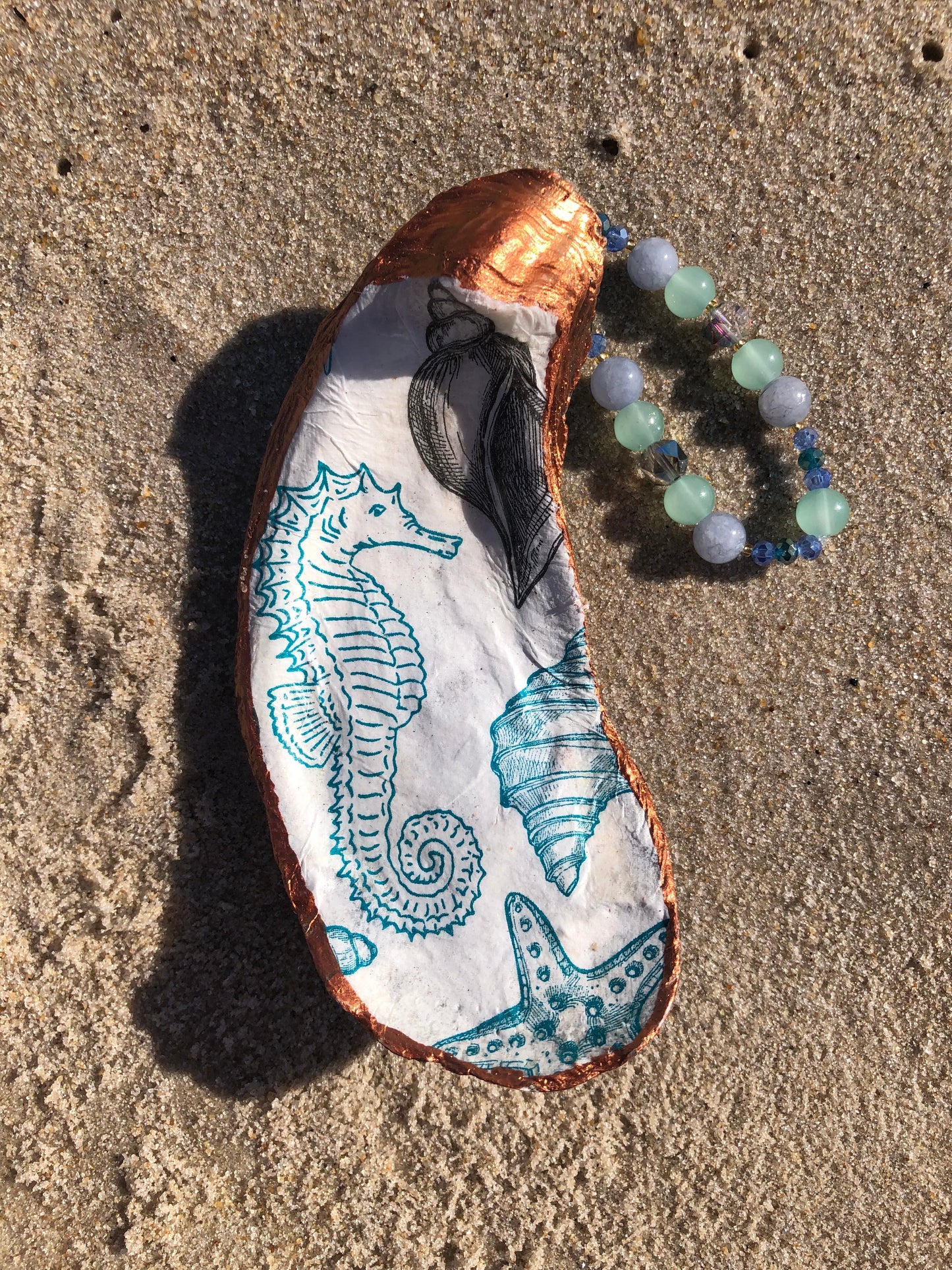 North Ocean Beach Oyster Shell