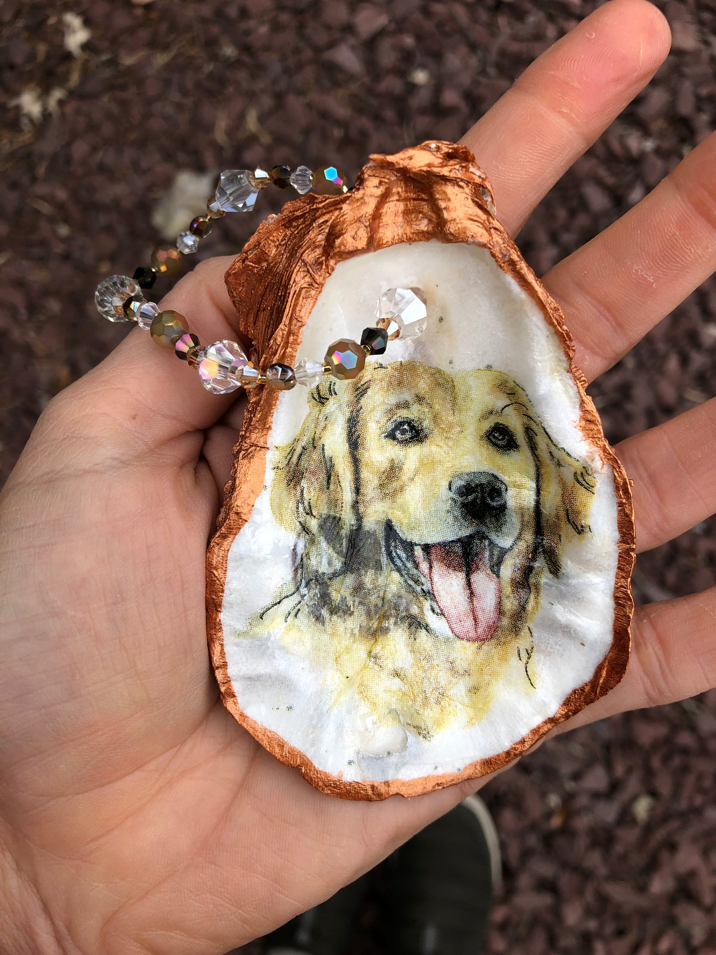 The Bella Oyster Shell