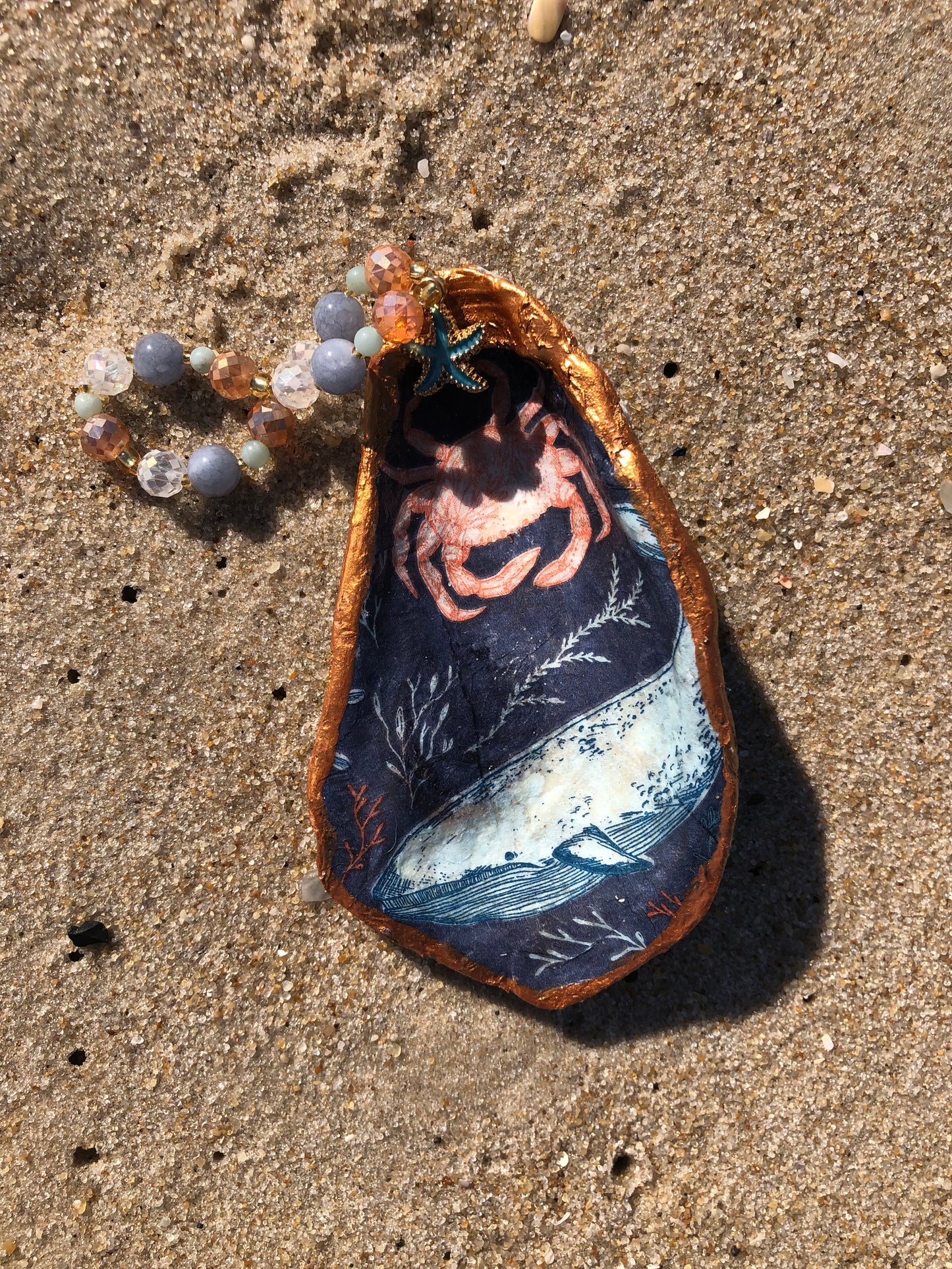 South Ocean Beach Oyster Shell