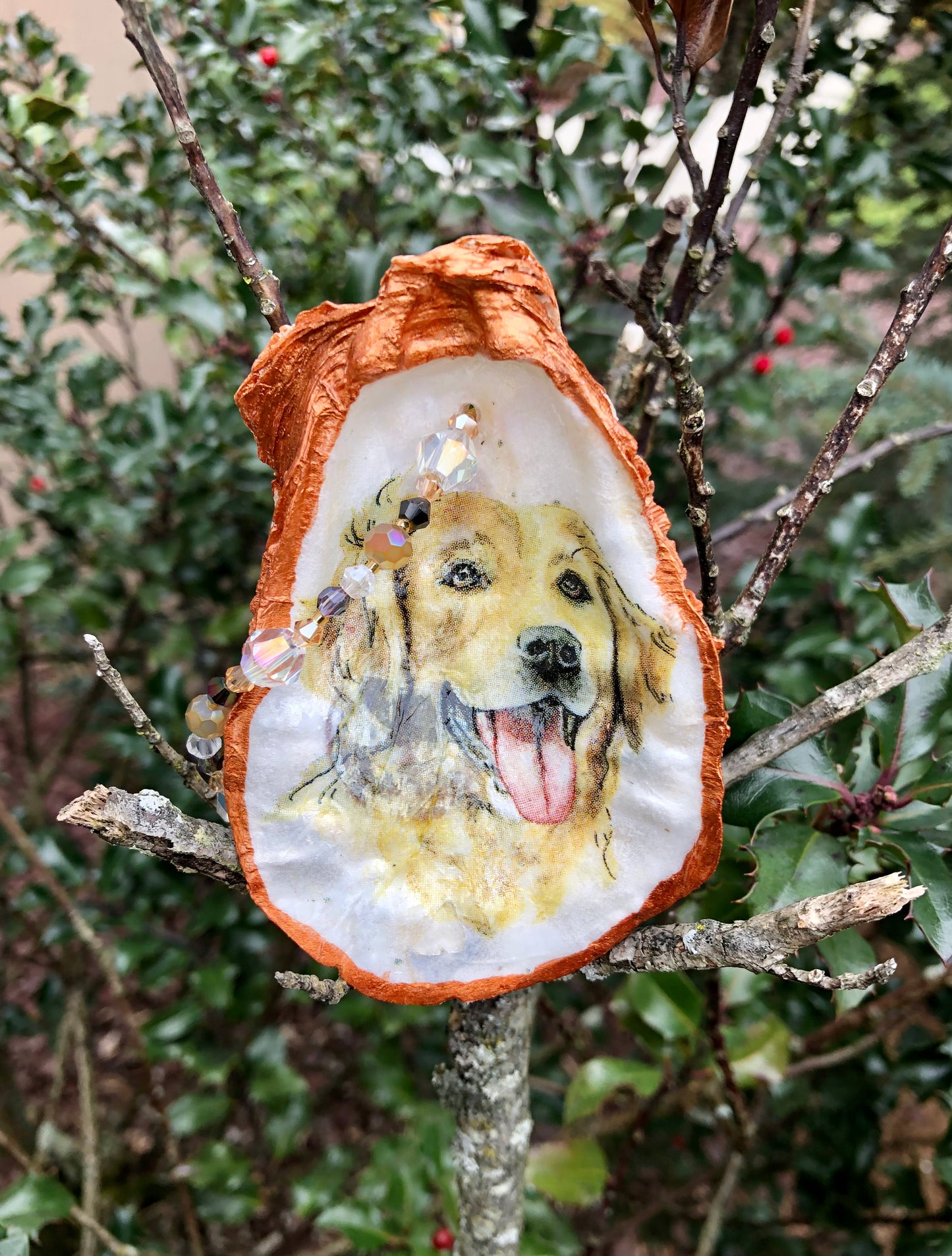 The Bella Oyster Shell
