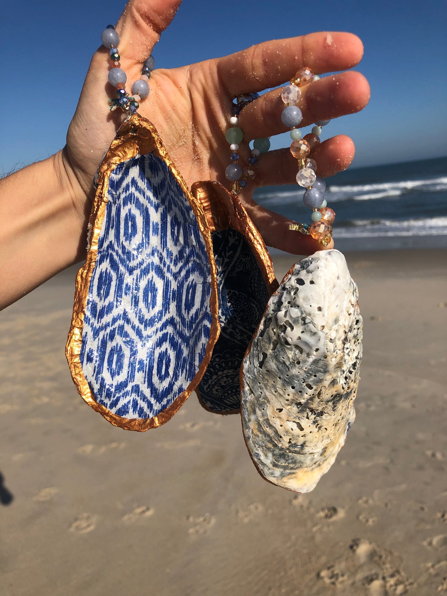 South Ocean Beach Oyster Shell