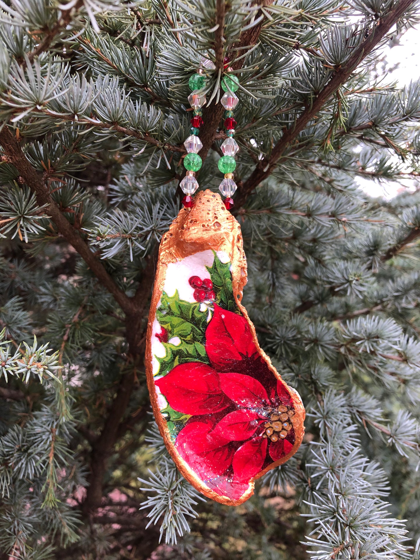 Winter of Poinsettias Oyster Shell