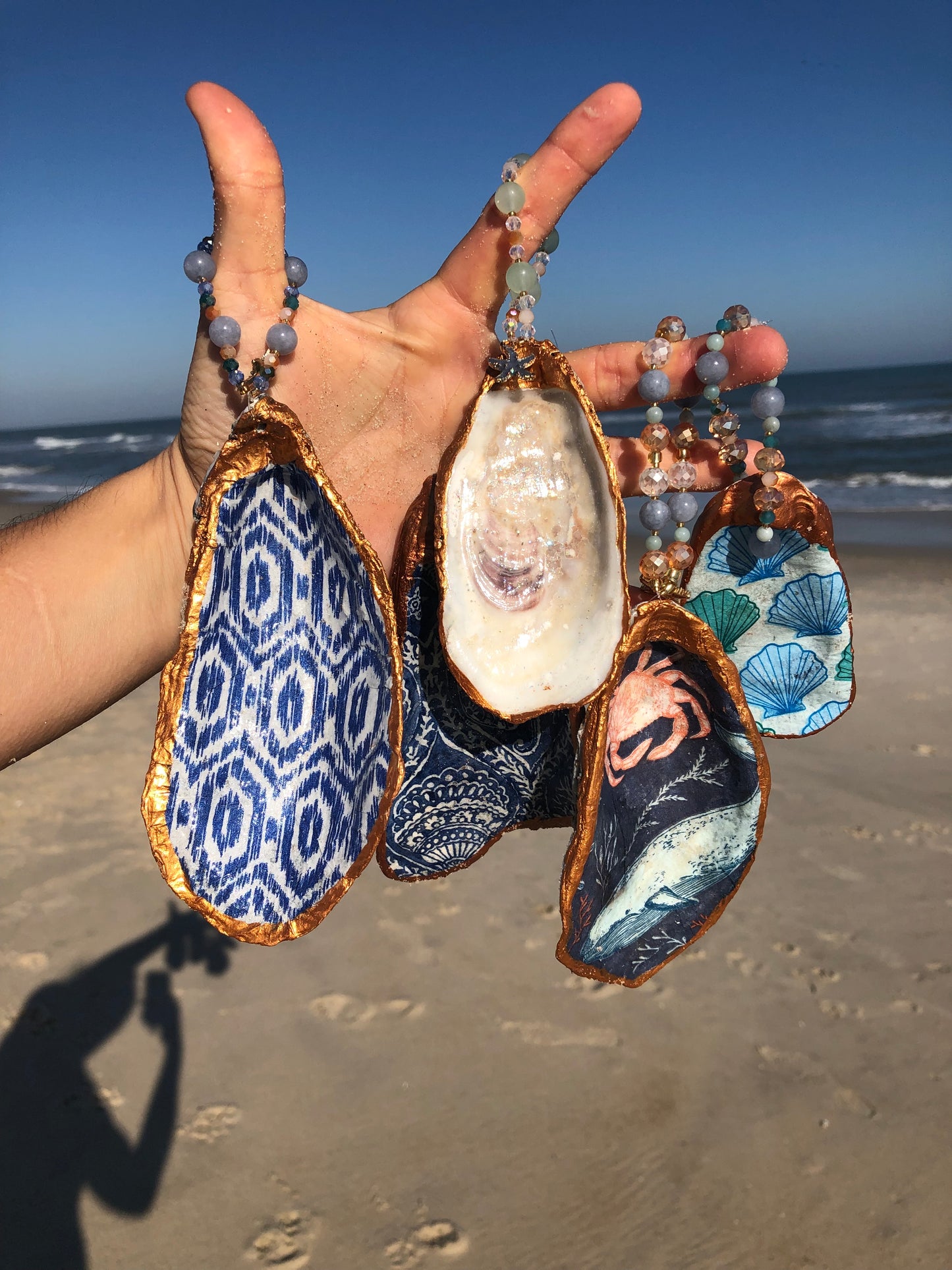 South Ocean Beach Oyster Shell