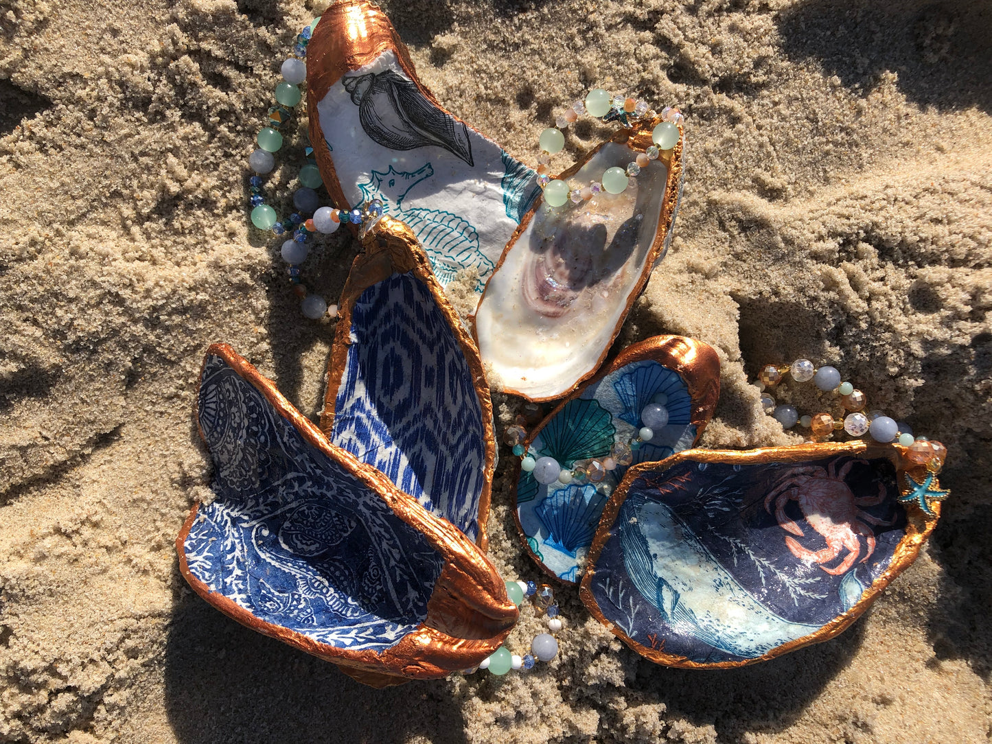 North Ocean Beach Oyster Shell